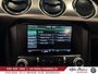 Ford Mustang GT Premium,MANUELLE,CONVERTIBLE,BAS MILLAGE 2015-40