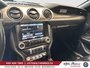 Ford Mustang GT Premium,MANUELLE,CONVERTIBLE,BAS MILLAGE 2015-19