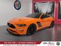 2021 Ford Mustang ROUSH EDITION STAGE 2-0