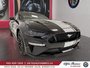 Ford Mustang GT Premium, performance pkg ,location dispo 2023-6