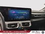 Ford Mustang GT PREMIUM,5.0L,RECARO,AUTO 2025-19