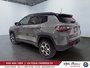 2022 Jeep Compass Trailhawk Elite-3
