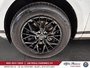 2020 Land Rover Range Rover Evoque P250 S Bas mileage comme neuf-6