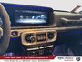 2023 Mercedes-Benz G-Class AMG G 63 DESIGNO INT,CARBON INT,FULL-17