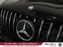 Mercedes-Benz GLE AMG GLE 53.PINNACLE TRIM,NIGHT PKG,FULL,BAS MILLAG 2025-33