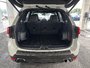 2024 Subaru Forester Wilderness AWD