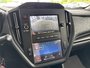 Subaru WRX Manual 2023