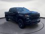 Chevrolet Silverado 1500 CUSTOM TRAIL BOSS 2022