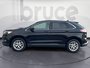 Ford Edge SEL 2023