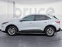 Ford Escape SE 2020