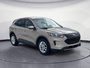 Ford Escape SE 2020