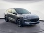 Ford Escape SE 2021