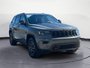 Jeep Grand Cherokee TRAILHAWK 2020