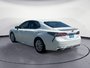 2023 Toyota Camry /SE/LE/XLE