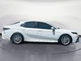 2023 Toyota Camry /SE/LE/XLE