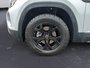 2025 Volkswagen Atlas PEAK EDITION