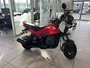 2023 Honda NVA110P-1