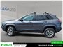 2019 Jeep Cherokee Trailhawk Elite-4