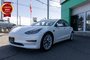 2021 Tesla MODEL 3 Standard Range Plus-4