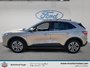 Ford Escape SEL 2020