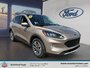 Ford Escape SEL 2020