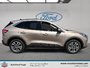 Ford Escape SEL 2020