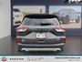 Ford Escape SE 2020