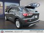 Ford Escape SE 2020