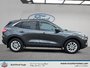 Ford Escape SE 2020