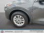 Ford Escape SE 2020