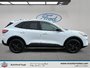Ford Escape SE 2022