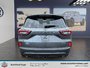 Ford Escape ST-Line Select 2025