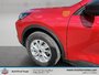 Ford Escape Active 2025