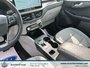 Ford Escape Active 2025