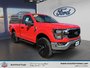 Ford F-150 XLT 2023
