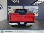 Ford F-150 XLT 2023