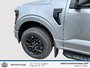 Ford F-150 XLT 2025
