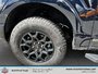 Ford F-150 XLT 2025