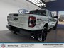 Ford Ranger XLT 2026