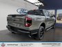 Ford Ranger XLT 2026