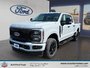 2025 Ford Super Duty F-250 SRW