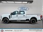 2025 Ford Super Duty F-250 SRW
