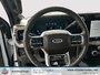 2023 Ford Super Duty F-350 SRW King Ranch