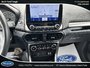 2020 Ford EcoSport SES