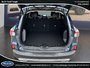 Ford Escape Titanium Hybrid 2020