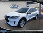 Ford Escape SE 2020