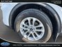 Ford Escape SE 2020