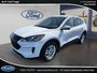 Ford Escape SE 2020