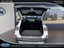 Ford Escape SE 2020