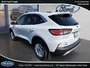 Ford Escape SE 2020